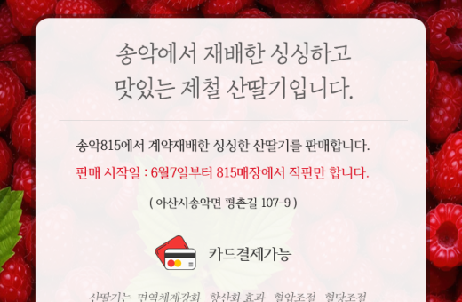 (올해 딸기판매 완료되었습니다.) 송악815 산딸기판매안내
