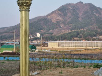 유채꽃밭 포토죤