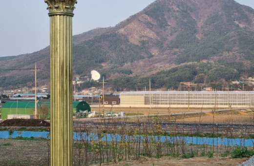 유채꽃밭 포토죤