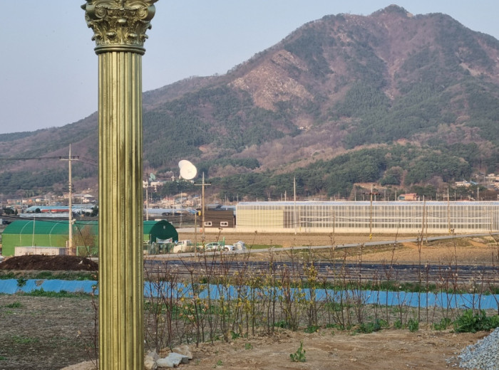 유채꽃밭 포토죤