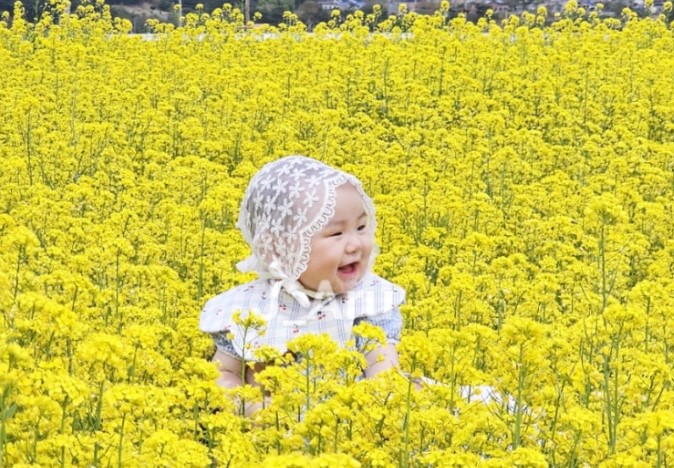 유채꽃과 아가