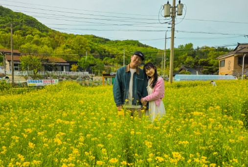 유채꽃보다 우리